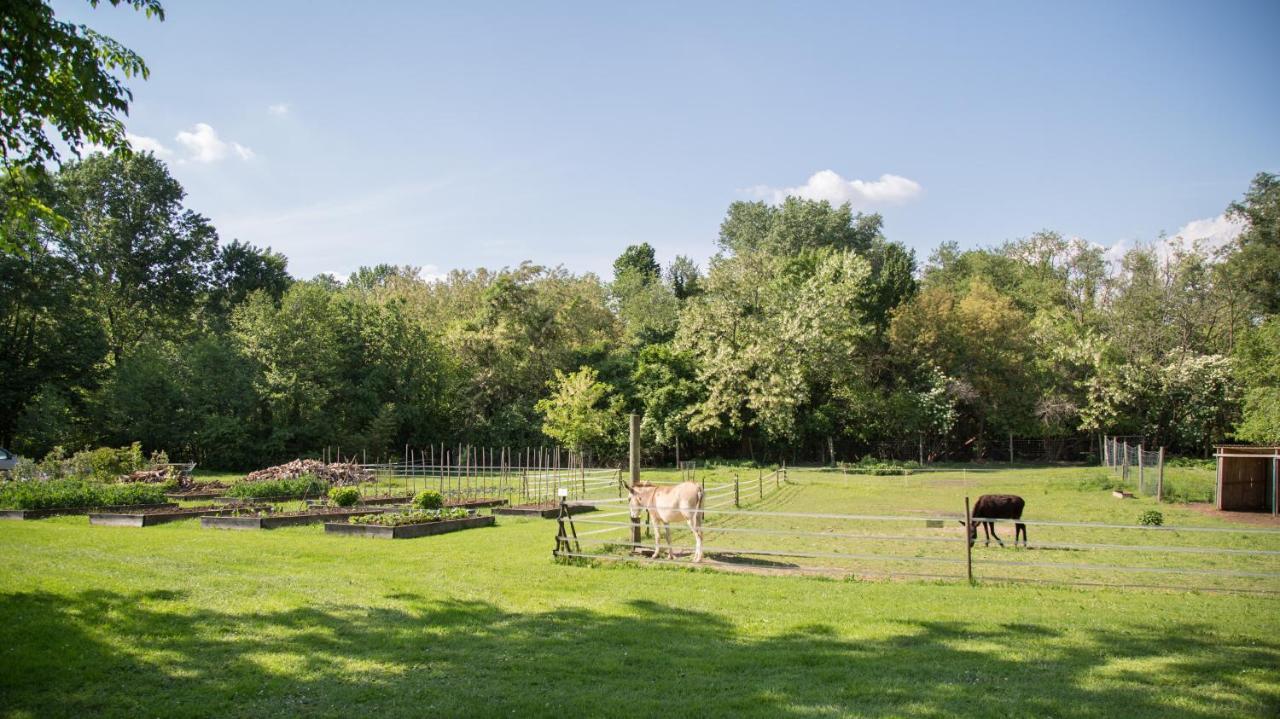 فيلا La Collina Delle Mignole Moruzzo المظهر الخارجي الصورة